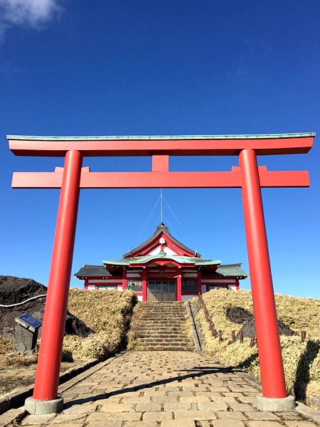 犬連れくるま旅 箱根神社の犬連れOKエリアと駐車場事情をレポート犬と一緒にくるま旅