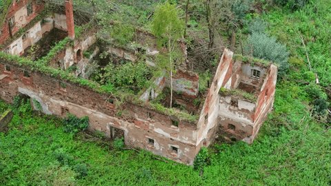 イタリア・ピエモンテ州 人と自然の共生が生み出した世界遺産のワインの地、ランゲ・ロエロとモンフェッラートの魅力 - 料理王国