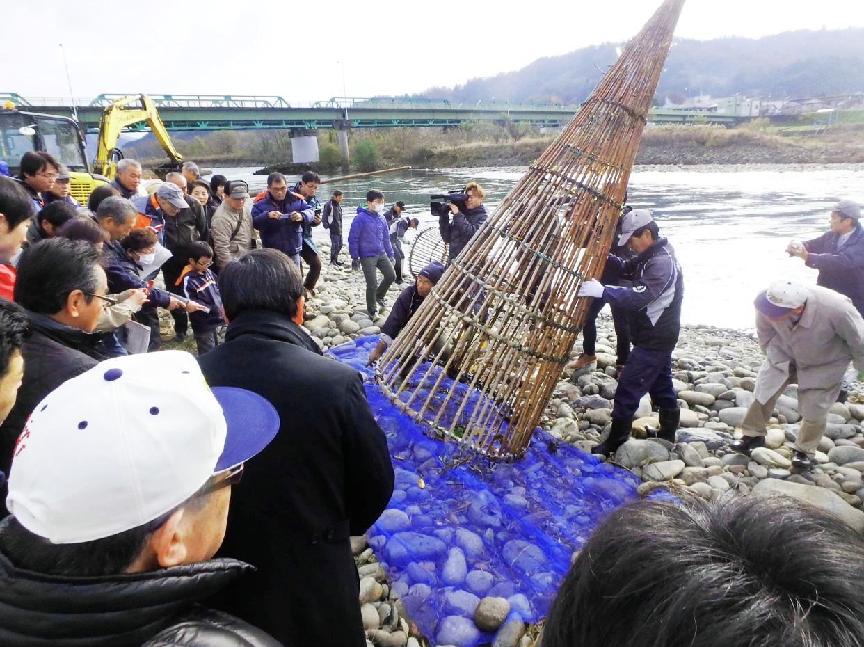 ふくい・アラレガコ学校 -自然体験ツアーや自然があるまちづくり 一般社団法人環境文化研究所