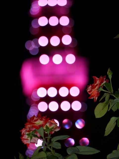 エスティ ローダー カンパニーズが「ピンクリボンキャンペーン」を実施。東京タワーや清水寺のスペシャルライトアップやドローンショーも開催！