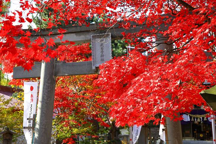 彌彦 伊夜日子 神社 札幌市旅人のブログ