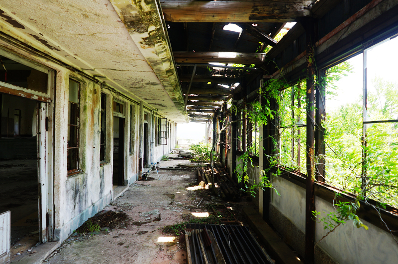 ミライドンにのったニャオハバンダイによる、遊びと学びのココロ育むファミリーエンタメサイト