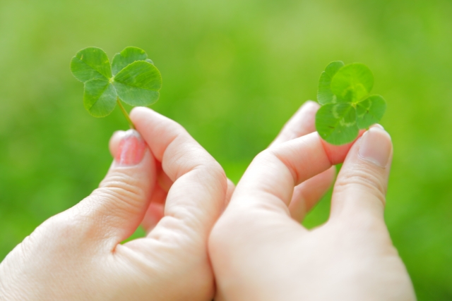 車で見かける「蝶々マーク」「四つ葉マーク」について 気づいたときに必要な配慮とは？シンビーオ