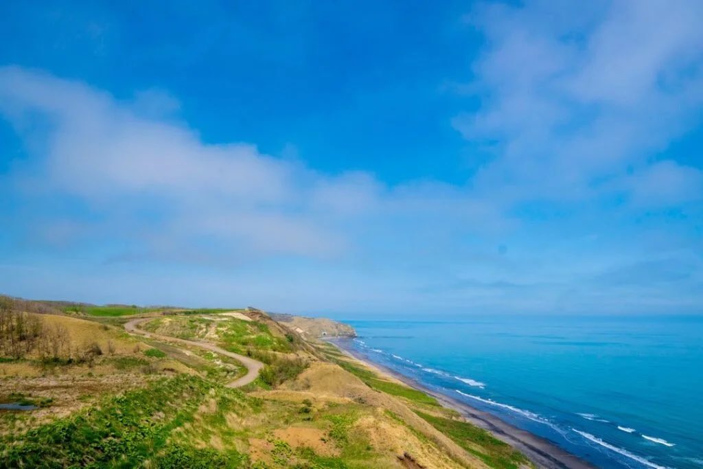 カフェ トレカサ 東広島 カフェ-