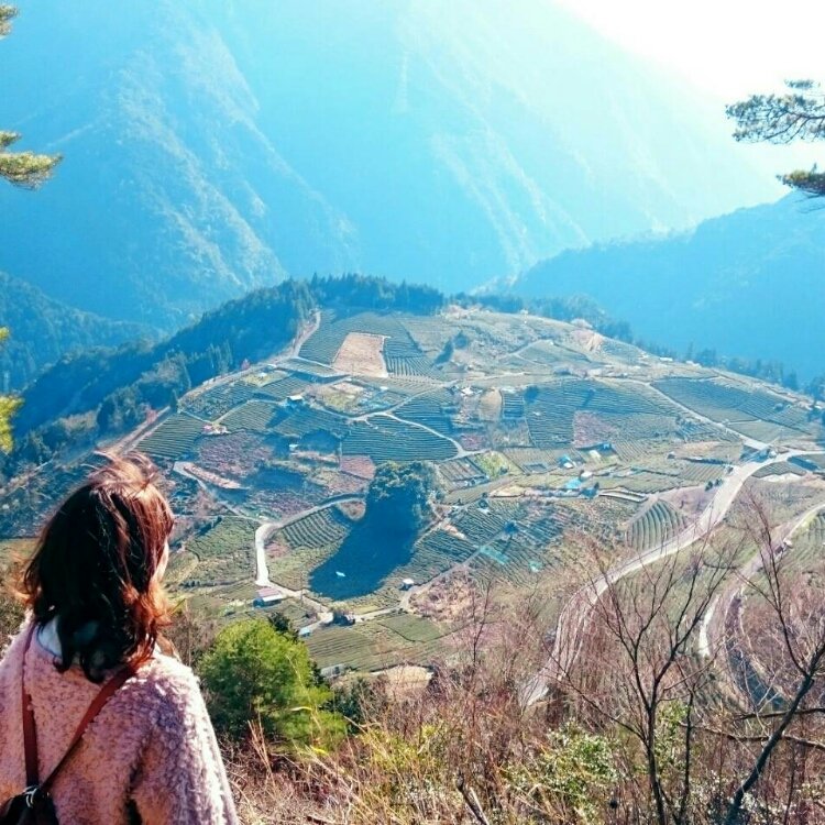 むつみんさんの投稿 岐阜のマチュピチュことりっぷ