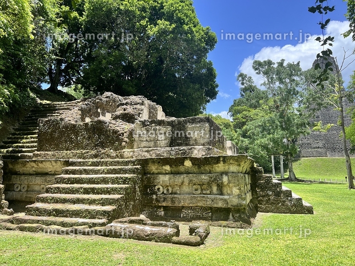 グアテマラにある世界複合遺産『ティカル遺跡』は冒険旅にもってこい！旅らび.com