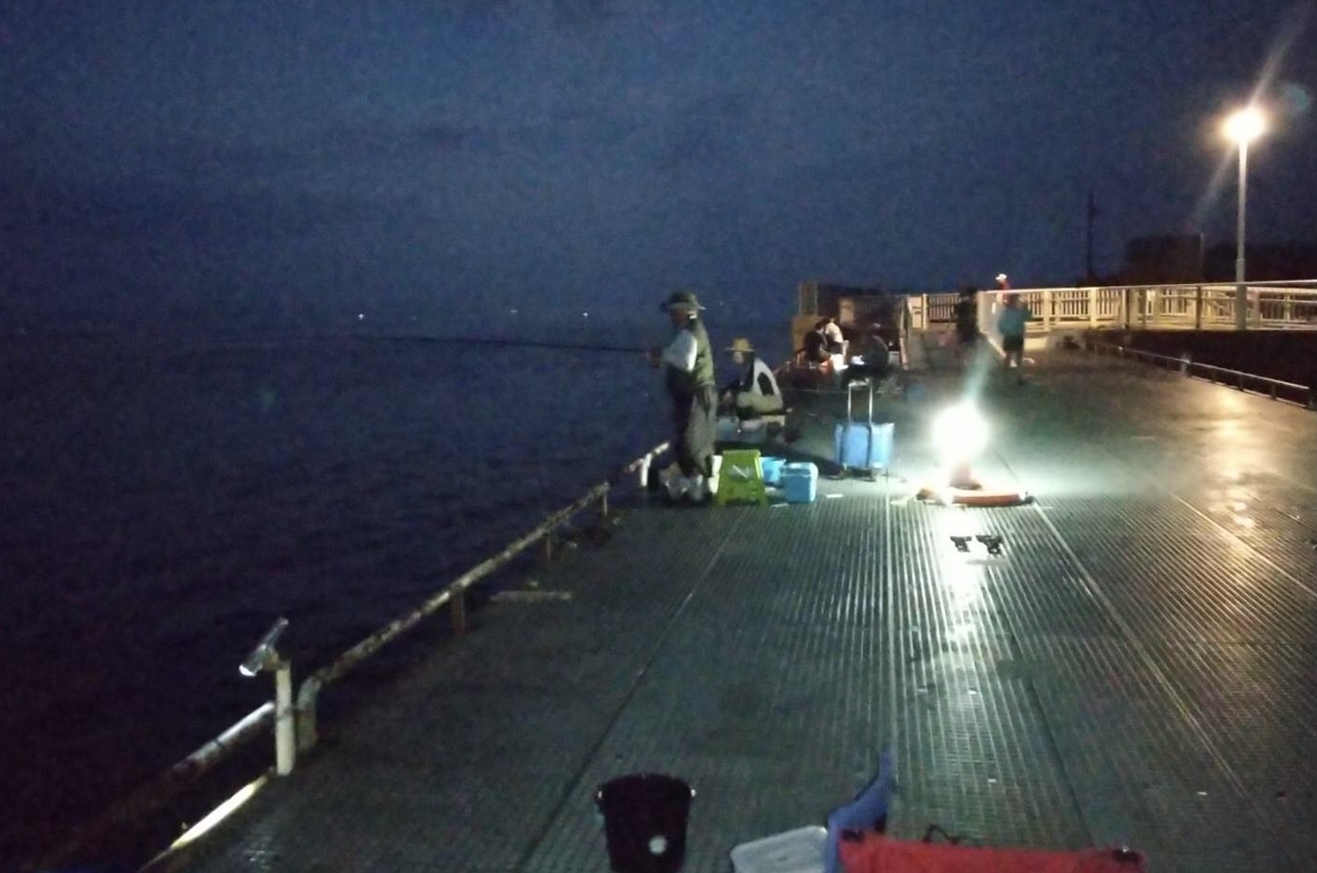 夜のサビキ釣りを100倍楽しむ！夜だから爆釣するノウハウを紹介