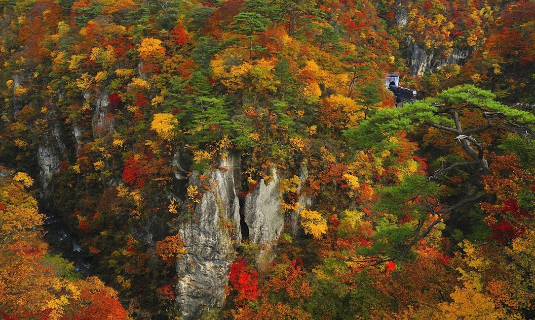 鳴子峡宮城県の名勝で季節の散策を楽しむ地方創生メディア Mediall メディアール