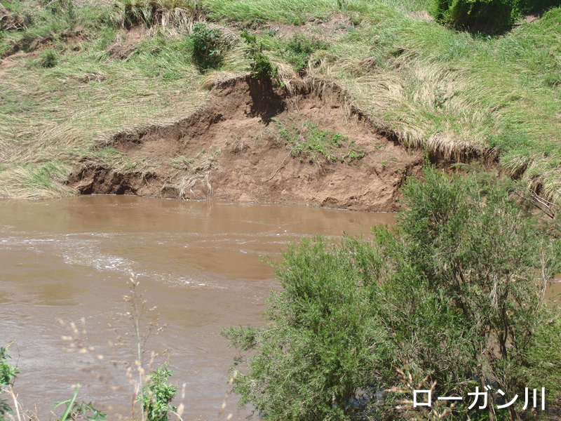 オーストラリア移住 5人家族の田舎暮らしの現状とメリットデメリットオージーな暮らし