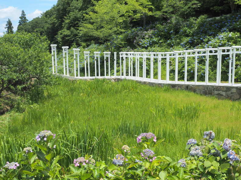 岡山・新見 青空に眩しい白い鳥居と紫陽花が映える「済渡寺 さいどうじ 」地球の歩き方