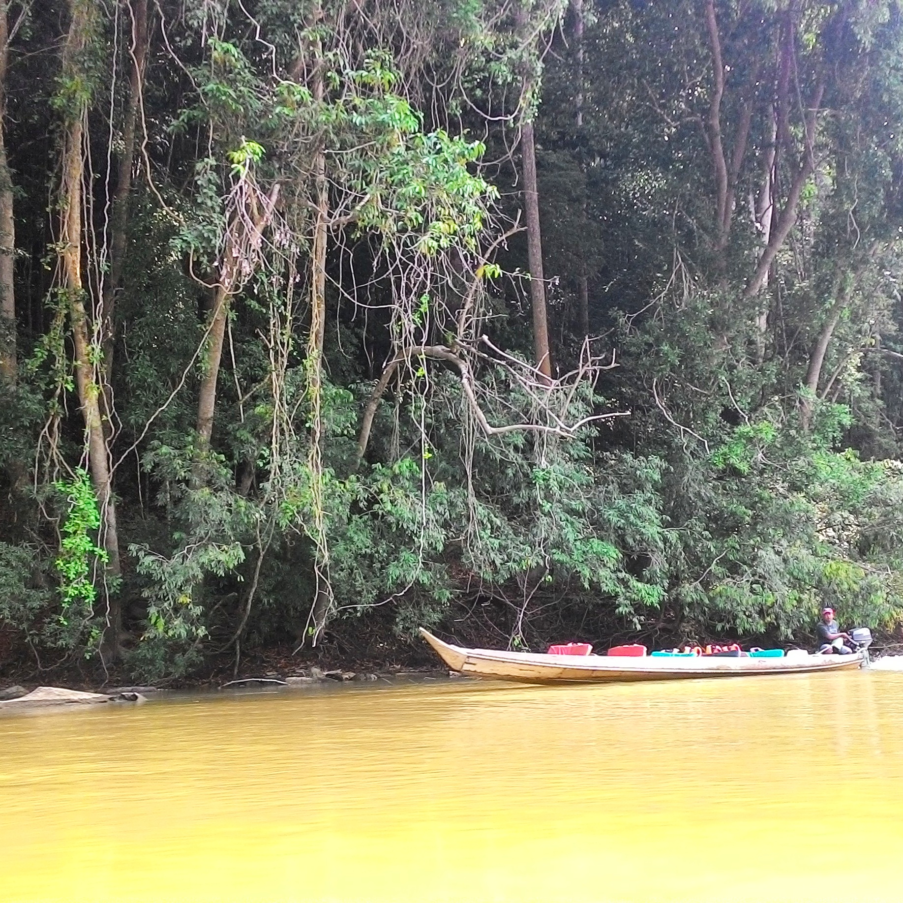ミンネリア国立公園：エレファントギャザリングが見れるサファリへの行き方や料金とは？おすすめのホテルや周辺観光まで徹底解説！スリランカ旅行・観光ガイド・政府公認タクシーチャーターサービス
