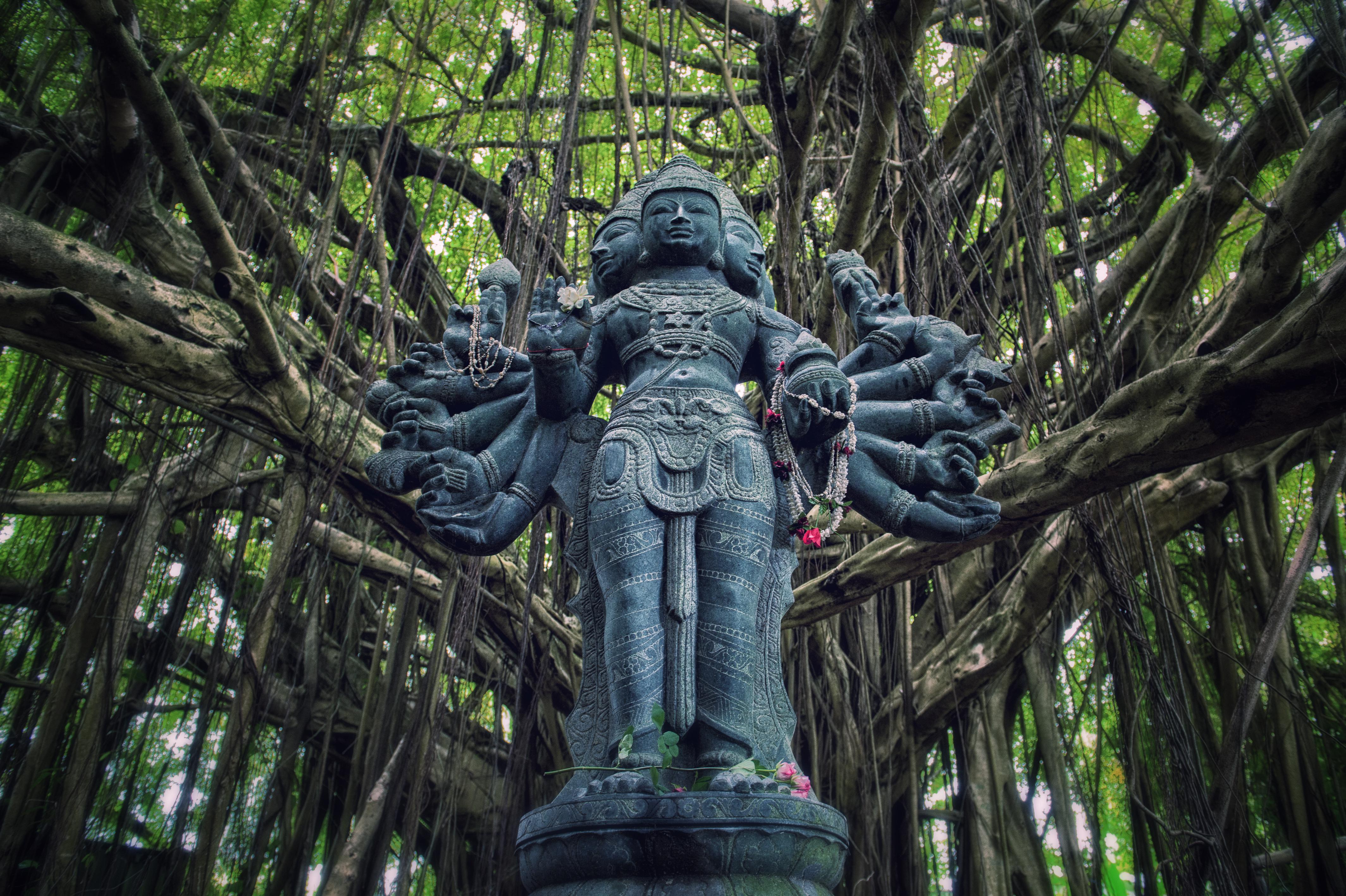 カウアイ島のデトックスリトリート ３: earth✡crystal AYA ～センス・オブ・ワンダー～