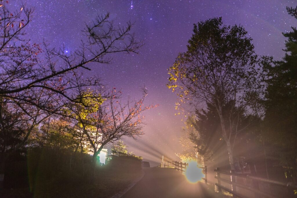 2024 奈良のおすすめ星空スポット6選！満天の星を見に行こう – narrative