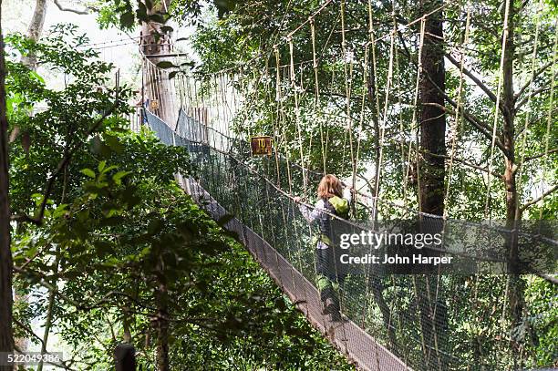 水曜どうでしょうブンブンクンバンへの行き方は？マレーシア旅行記斉藤紹太 梨売るアドセンサーのビジネスブログ面白き世界の探求者