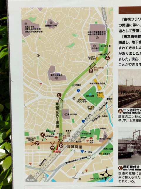 東横フラワー緑道と赤レンガ倉庫: 山梨ヨコハマ行ったり来たり