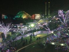 歳末レッサーパンダ詣とイルミネーションで良い年を願う ３ 西武園ゆうえんちのイルミージュは花鳥風月のファンタジーカラーの光の森』所沢 埼玉県 の旅行記・ブログby