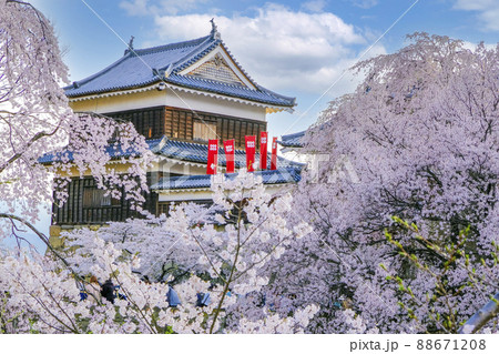 無料写真素材 桜素材上田城春景