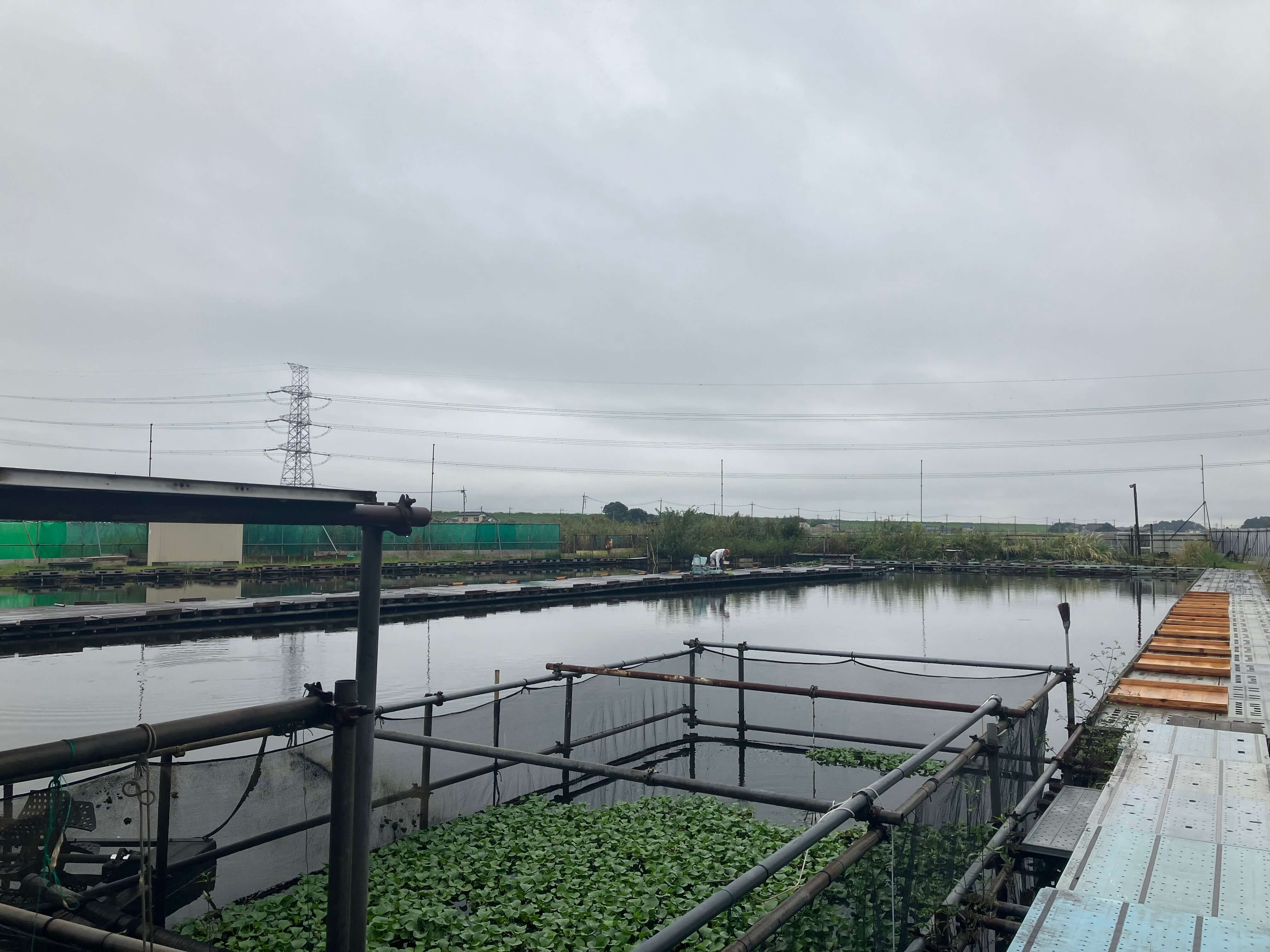 裏磐梯湖沼群 福島県- 水辺遍路