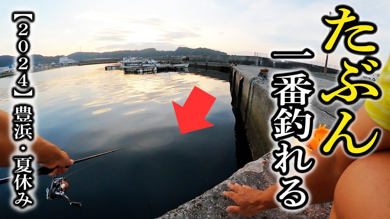 豊浜イワシ祭り 今シーズンも始まりました。 豊浜海釣り公園 釣り桟橋 サビキ釣り釣行記