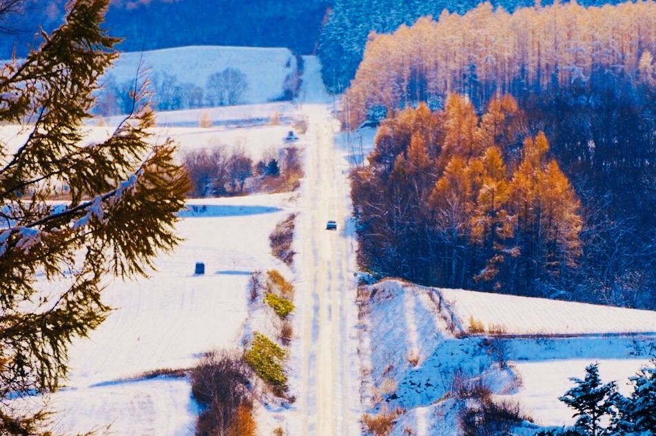 富良野ジェットコースターの路でプロポーズ│フォトウェディング