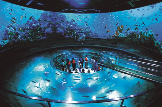 雨でもOK, 親子で癒される🍅, ワンコインでできる穴場の収穫体験🥕, —-✴︎ꪔ̤̮✳︎————————————, @kyoto_withqoo←