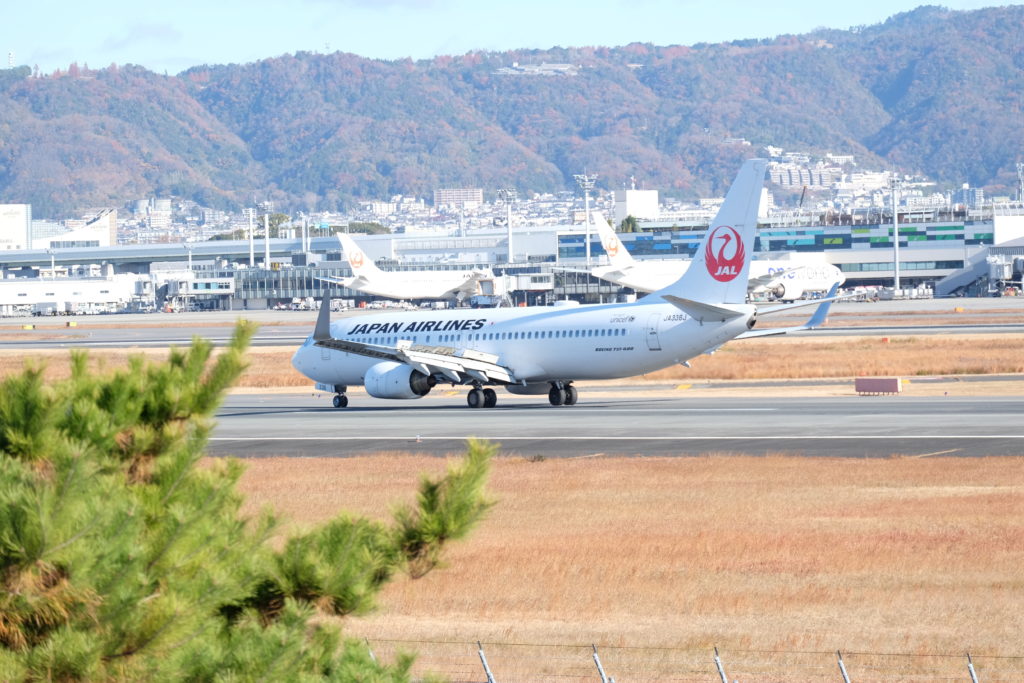 猪名川土手と伊丹スカイパークPHOTO HUB by nikkor