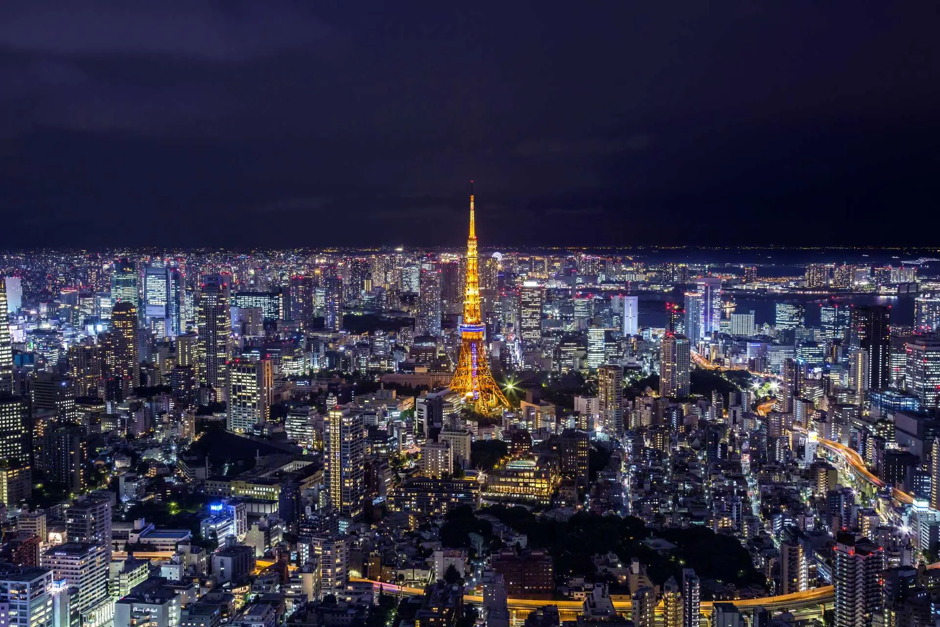 東京タワーの見どころは？人気の階段ウォークから子どもと楽しめるスポット、新名所まで魅力を一挙紹介