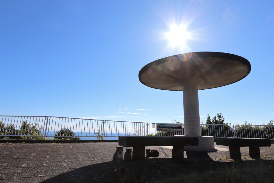 南阿波サンライン 徳島県 。黒潮が洗う海岸線を眼下に望むスカイライン日本の絶景ドライブルートJAF