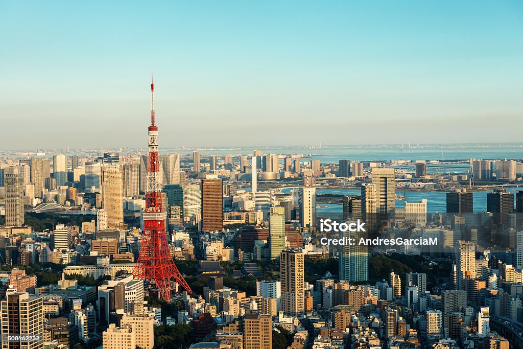 六本木の夜景スポット5選！ドライブデートから穴場までNEWT ニュート