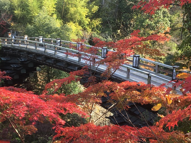 大月の桜 猿橋公園 穴場の桜スポット