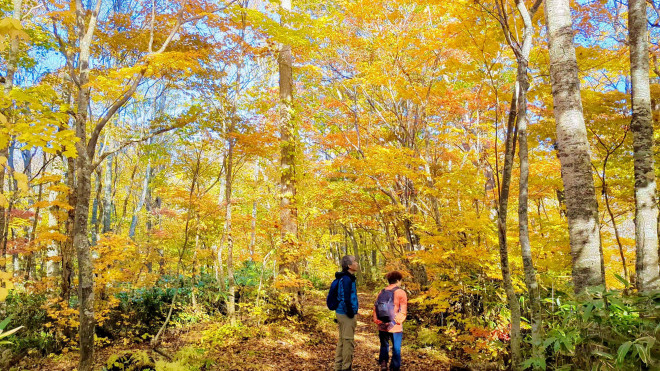 ハイキング＆トレッキング綾ニセコ