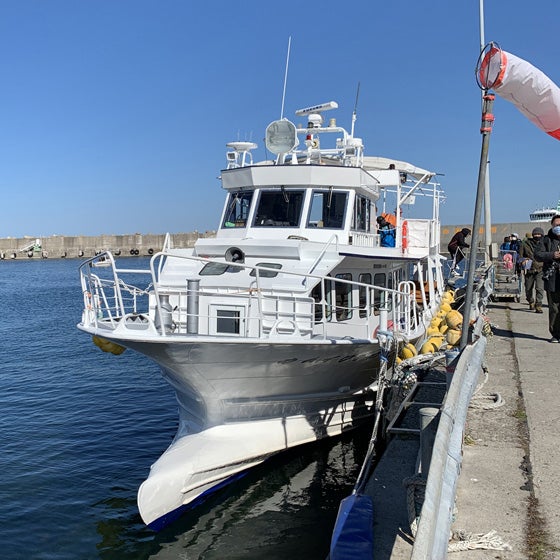クルージングコース東京湾クルーズで特別な1日にザ・クルーズクラブ東京