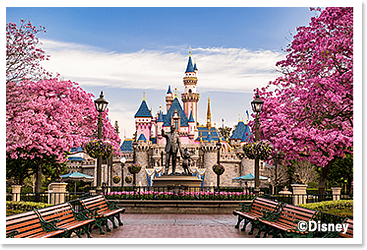 海外ディズニーのハードルは低い？費用・必要なモノ・公式アプリを解説！ 公式アプリ編 －Royal Street