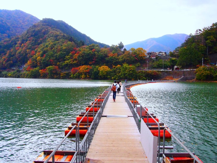東京都立奥多摩湖畔公園 山のふるさと村: 8月11日麦山の浮橋通行再開のお知らせ