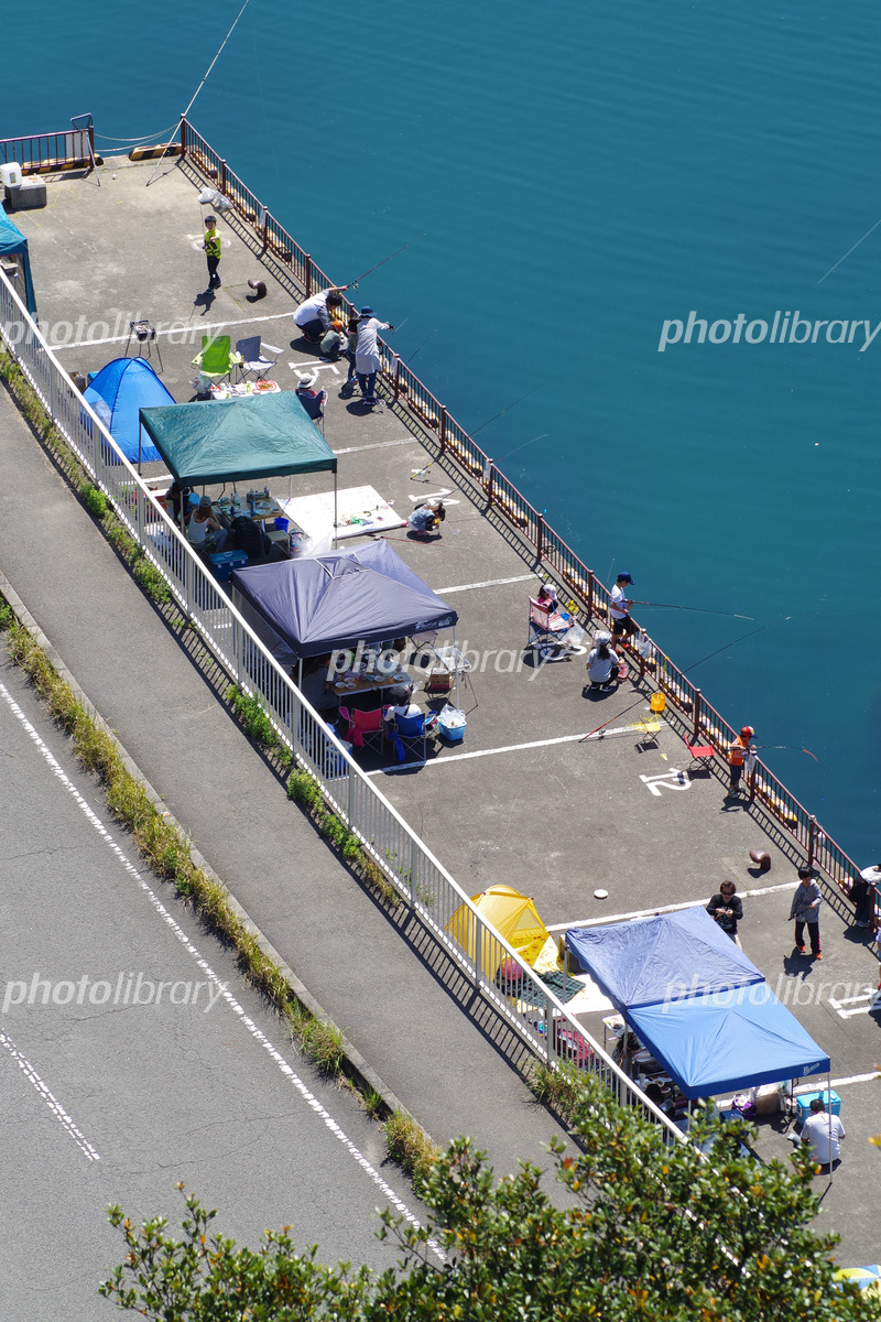 雑賀崎 陸っぱり 釣り・魚釣り釣果情報サイト カンパリ
