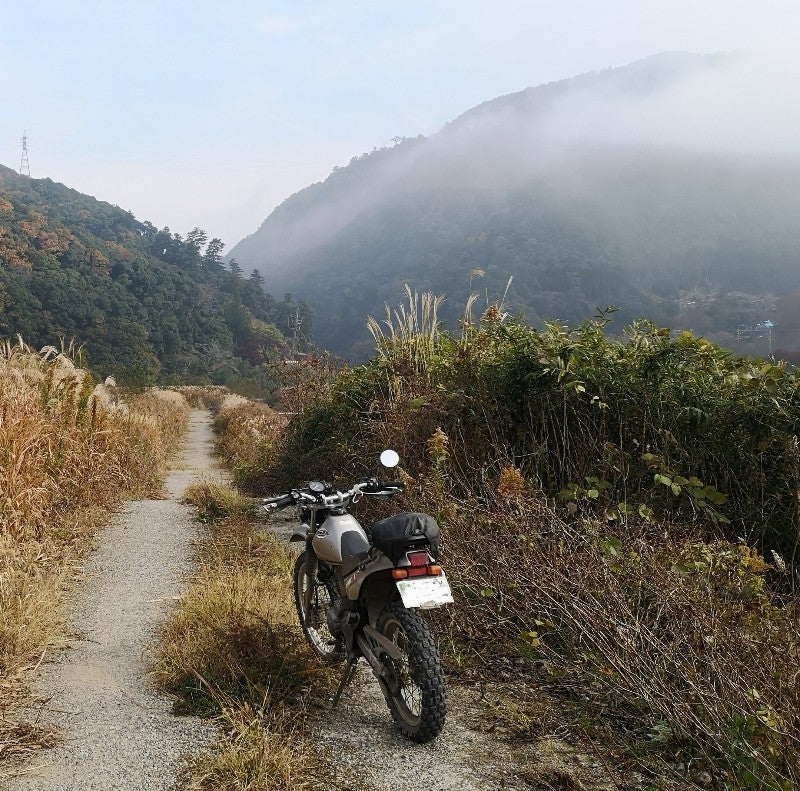 2025年版 関西のススキ名所7選＆穴場 秋の絶景スポットとアクセス徹底ガイドfour