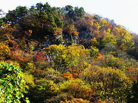 地図・アクセス - 白砂渓谷ラインの紅葉 群馬県紅葉名所2025