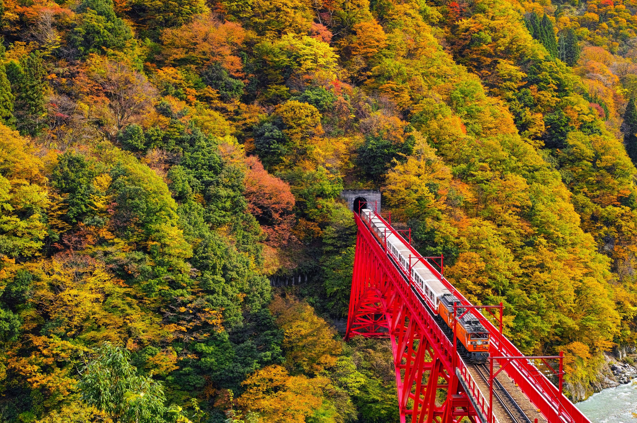 里山十帖の翌日、どこに行く？ 紅葉の黒部峡谷鉄道へ –