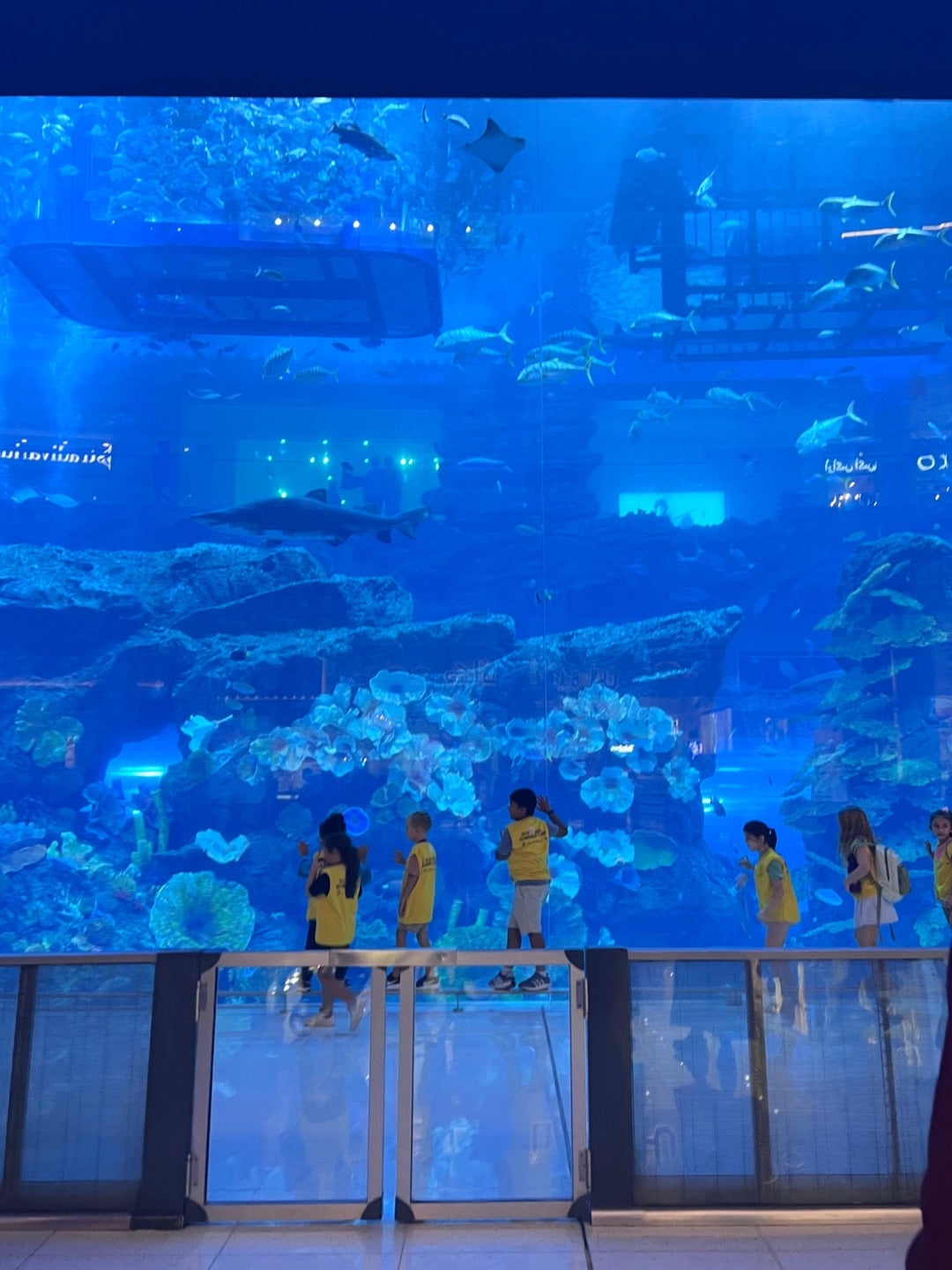 ドバイ水族館 Page 1