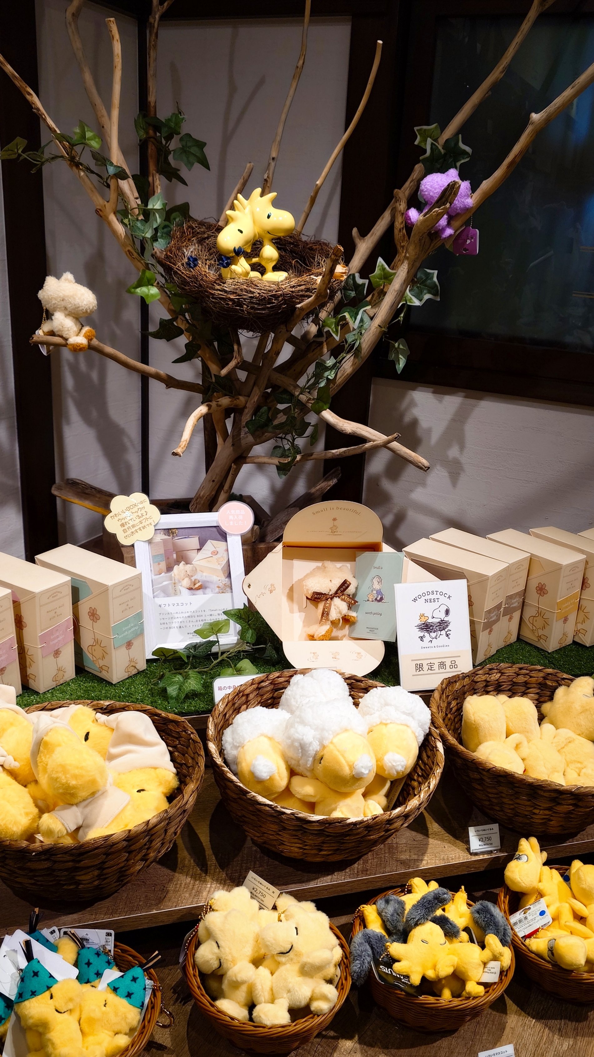 ウッドストックやスヌーピーの兄弟たちが主役！サンスター文具「PEANUTS」グッズ