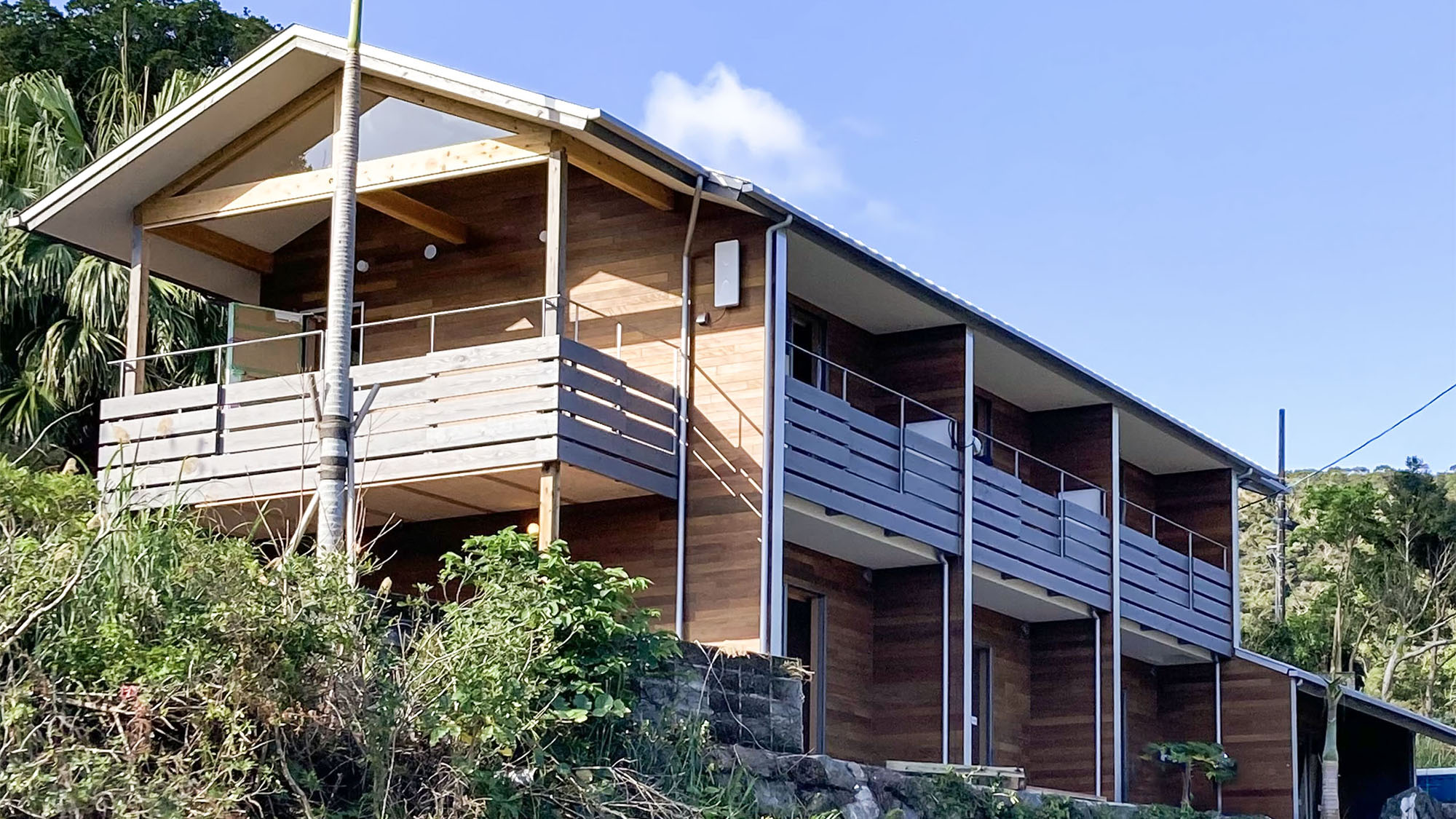 WEBマガジン奄美自然観察の森で出会う、奄美大島の動植物 春～夏編あまみの