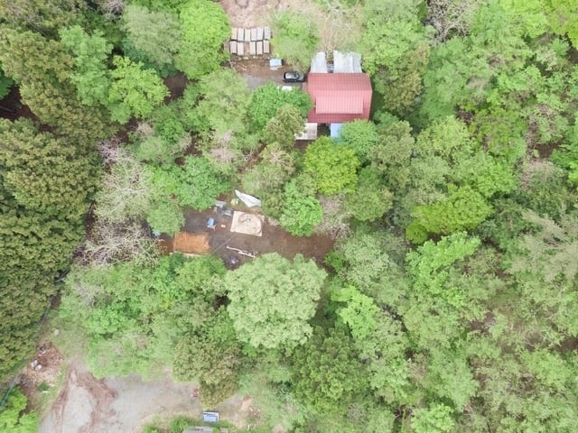 グランピング体験山梨・都留市「THE FOREST」TikTok