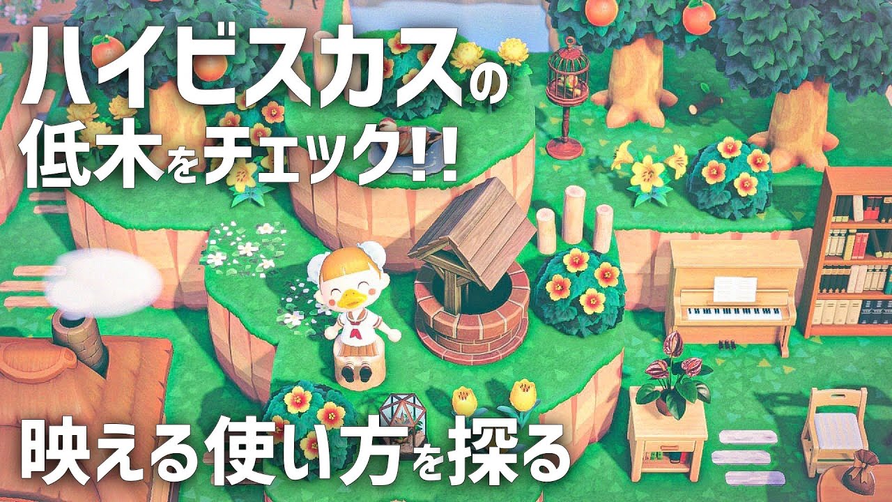 あつ森収納の秘訣とアイデアTikTok