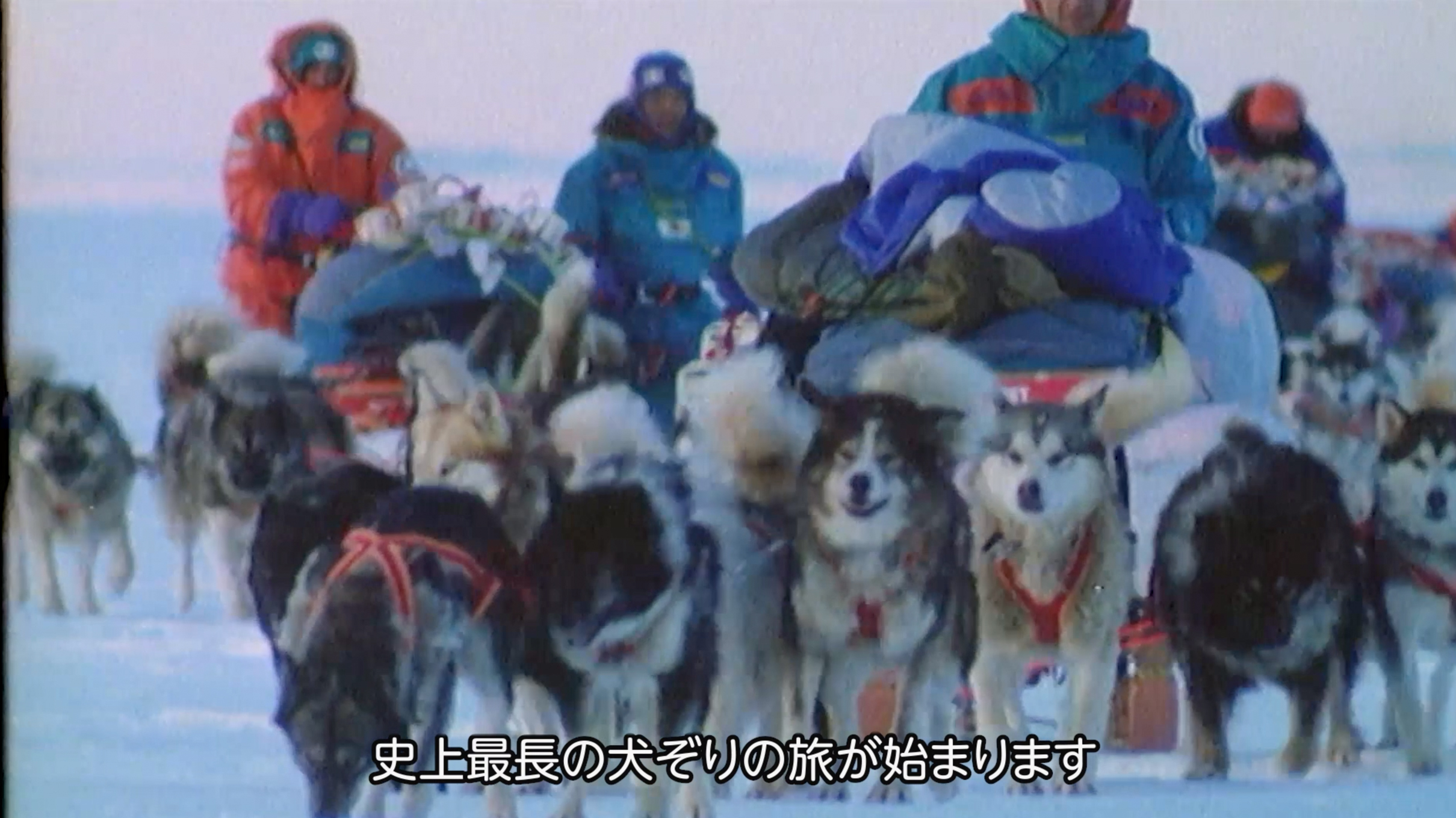 Sergeant Preston of the Yukon: