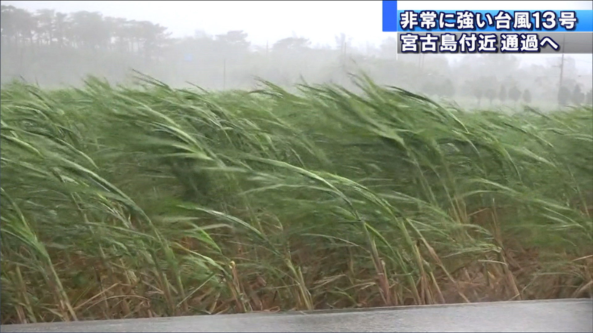 台風12号 2025年 の沖縄県宮古島の暴風域に入る確率 -