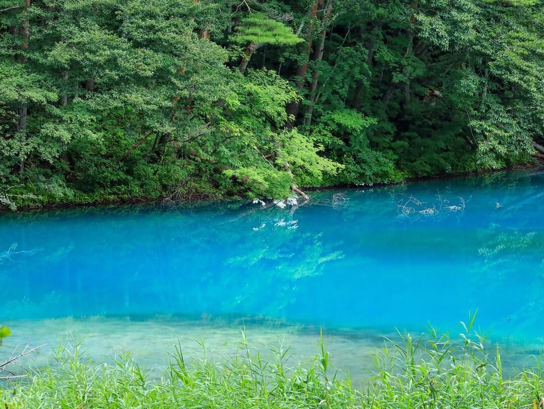 五色沼湖沼群 - 見どころ、アクセス &