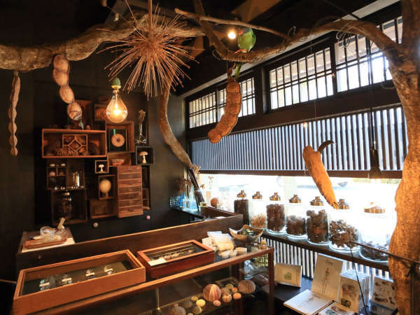 ウサギノネドコ 京都店のご予約 - 西大路御池