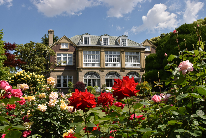 外国人観光ガイド必見 おすすめの東京穴場スポット7選 - 忍者体験カフェ大阪・京都・東京 原宿・浅草: