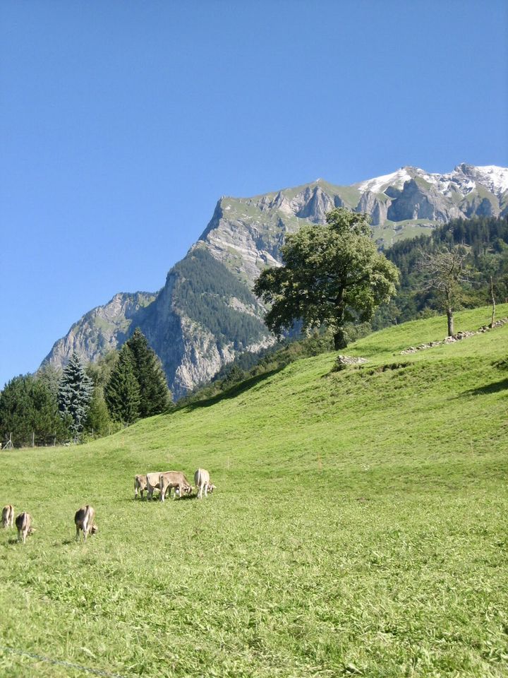 花の絵のような風景、スイス アルプス、スイス、ヨーロッパでラウターブルンネンの滝と渓谷の教会の写真素材・画像素材 Image