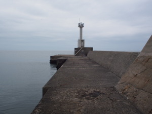 富山県で堤防から釣りをしました。 滑川漁港です 添付した写真のような魚が釣れ-